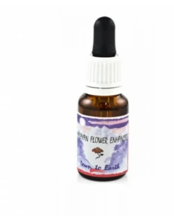 Natur Srl Down To Earth Essenza 15ml